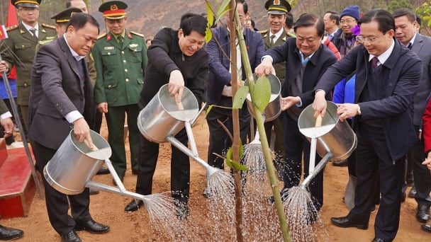 Chủ tịch nước phát động Tết trồng cây tại Lạng Sơn