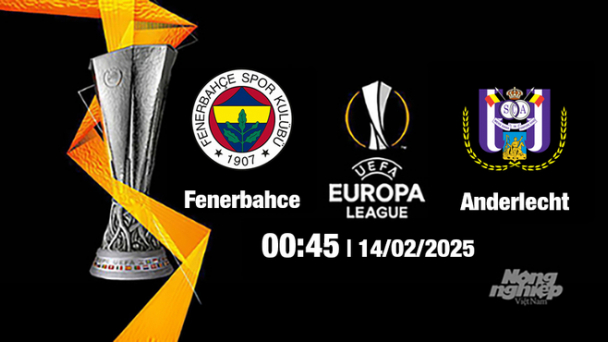 Trực tiếp bóng đá Fenerbahce vs Anderlecht, Cúp C2 Châu Âu, 00h45 ngày 14/2/2025