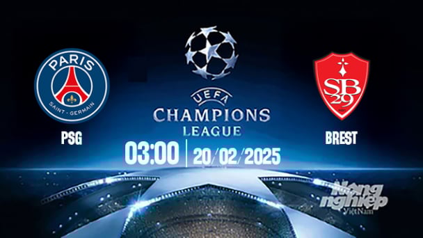 Trực tiếp bóng đá PSG vs Brest, Cúp C1 Châu Âu, 03h00 ngày 20/2/2025