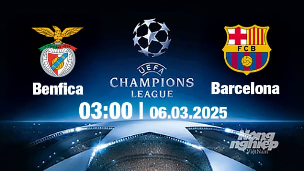Trực tiếp bóng đá Benfica vs Barcelona, Cúp C1 Châu Âu, 03h00 ngày 6/3/2025