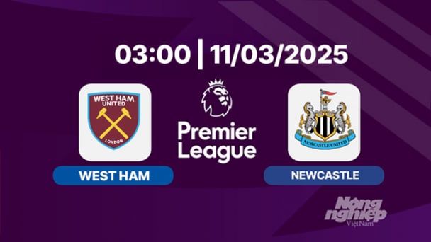 Trực tiếp bóng đá West Ham vs Newcastle 03h00 hôm nay 11/3/2025