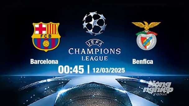 Trực tiếp bóng đá Barcelona vs Benfica, Cúp C1 Châu Âu, 00h45 ngày 12/3/2025