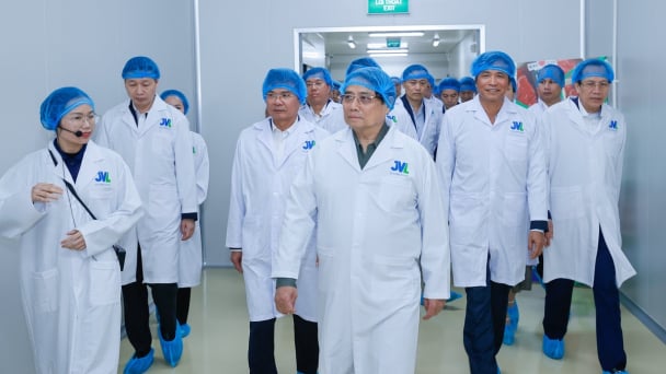 Thủ tướng thăm tổ hợp chế biến thịt bò 'ngàn tỉ' tại Vĩnh Phúc
