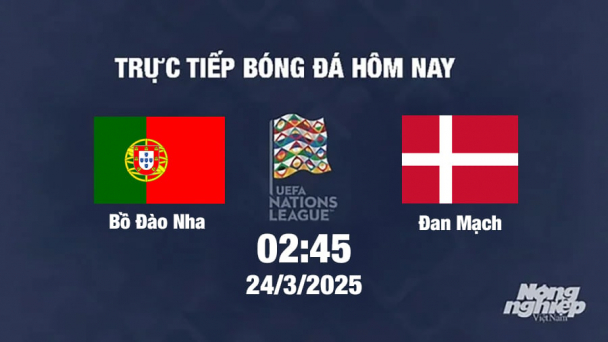 Trực tiếp bóng đá Bồ Đào Nha vs Đan Mạch 02h45 hôm nay 24/3/2025