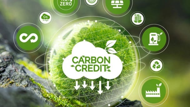 Carbon Park - A multilateral connection toward achieving carbon neutrality