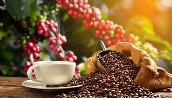 Việt Nam giữ vị thế nhà cung cấp cà phê lớn thứ hai cho Nhật Bản
