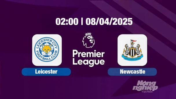 Trực tiếp bóng đá Leicester vs Newcastle 02h00 hôm nay 8/4/2025