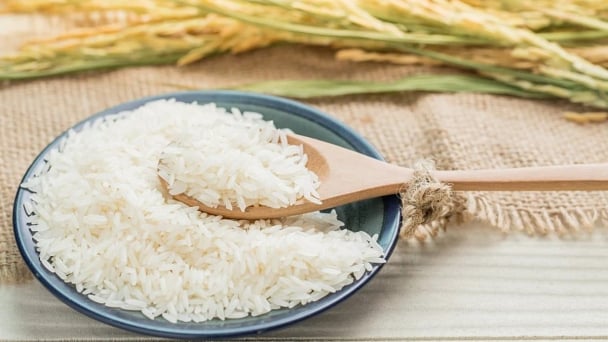 Giá lúa gạo hôm nay 3/9/2025: Thị trường vẫn ổn định
