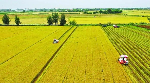 Hoàn thiện chính sách đất đai cho chính quyền địa phương hai cấp trong quý II