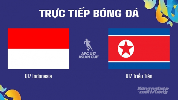 Trực tiếp Indonesia vs Triều Tiên giải U17 Châu Á trên K+ SPORT 1 ngày 14/4/2025