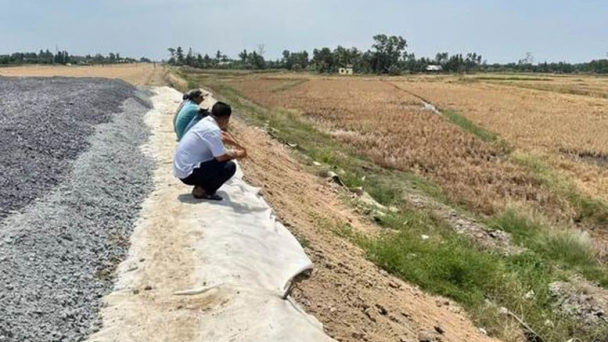 Lúa chết hàng loạt cạnh cao tốc, Phó Thủ tướng chỉ đạo bồi thường cho dân