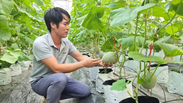 Khuyến nông Nghệ An ưu tiên các mô hình ứng dụng công nghệ cao
