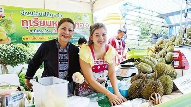 Sầu riêng Thái Lan lao đao vì 1 tấm biển?