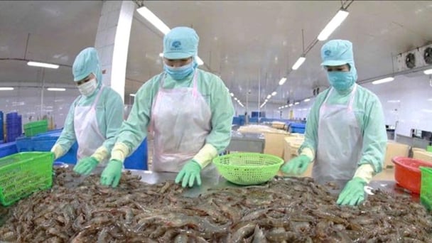Ba kịch bản tăng trưởng xuất khẩu nông lâm thủy sản khi Mỹ áp thuế mới