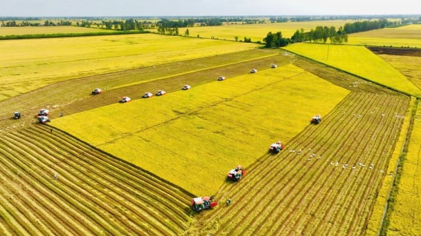 Từ Ngày thống nhất đất nước, nghĩ về một nền nông nghiệp thống nhất