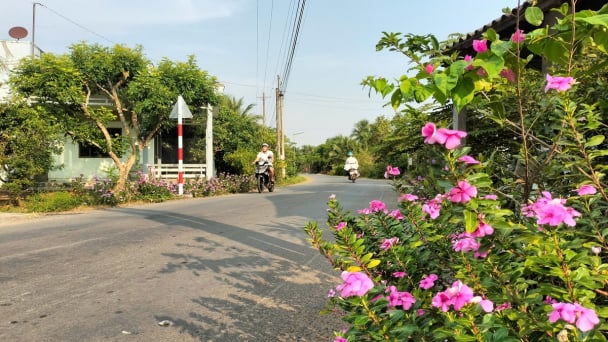 Bến Tre đề nghị Trung ương công nhận thêm 2 huyện nông thôn mới