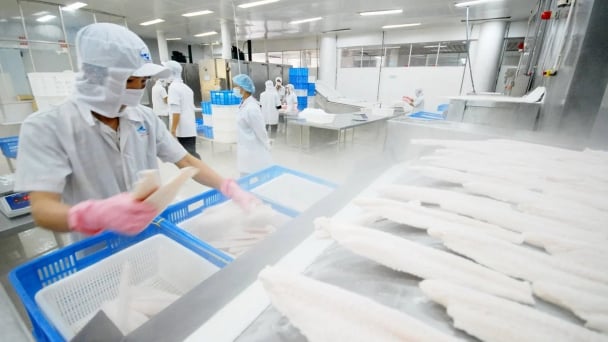 Xuất khẩu thủy sản tăng, thị trường sẽ chuyển dịch mạnh