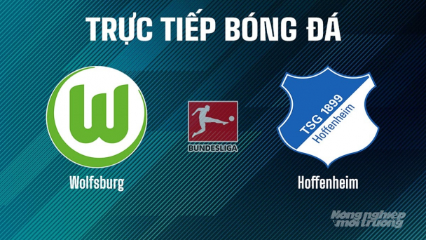 Trực tiếp Wolfsburg vs Hoffenheim giải Bundesliga trên On Sports News ngày 10/5