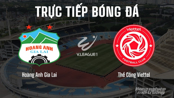 Trực tiếp Hoàng Anh Gia Lai vs Thể Công Viettel giải V-League 2024/25 hôm nay 11/5/2025