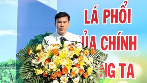 Tết trồng cây, lan tỏa thông điệp xanh vì môi trường bền vững