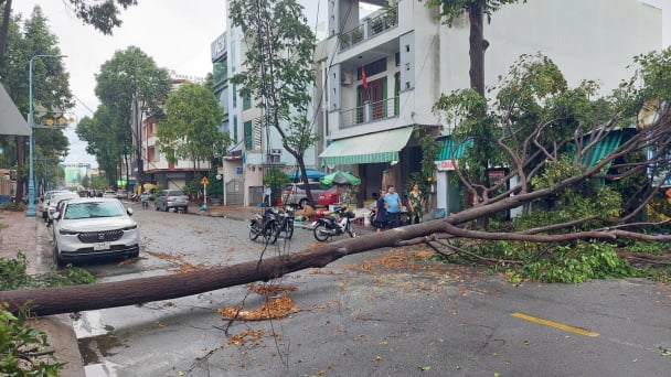 Long An tập trung xử lý các sự cố thiên tai gây ra