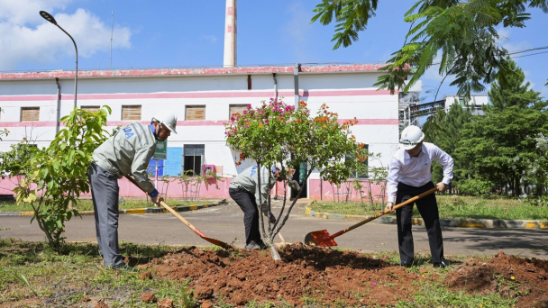 Công ty Nhôm Lâm Đồng phát động trồng cây 'Đời đời nhớ ơn Bác Hồ'
