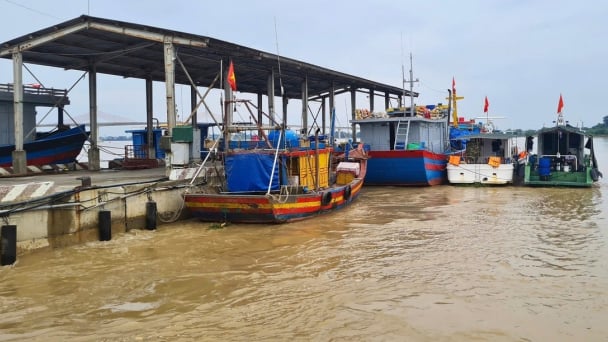 Lý giải thực trạng buồn tại Cảng cá Cửa Hội