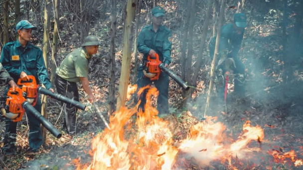 Đà Nẵng: Nắng nóng trên diện rộng, cảnh báo cháy rừng cấp III
