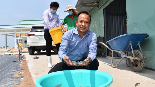 Tien Giang proposes solutions for addressing trade risks