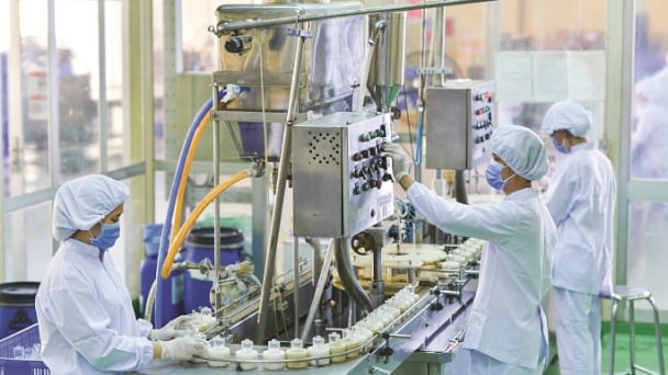 TP.HCM thích ứng biến đổi khí hậu: [Bài cuối] Hình thành 'thành phố xanh'