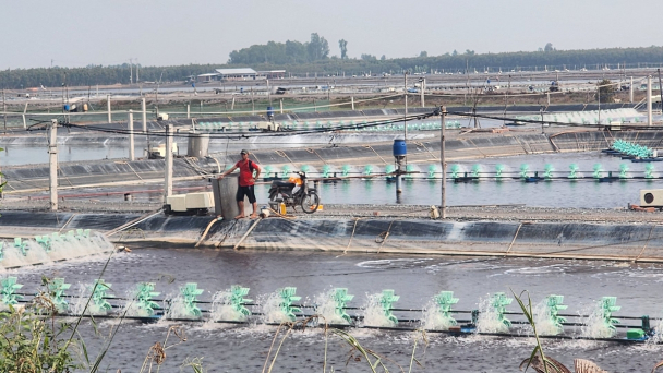 Long An đặt mục tiêu tăng trưởng nông, lâm, thủy sản 4% trở lên