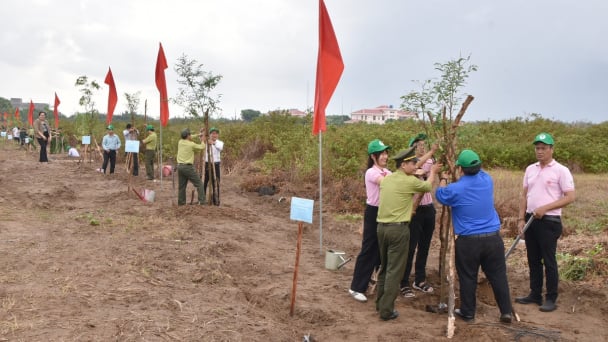 Bến Tre hướng đến mục tiêu xanh, phát triển bền vững