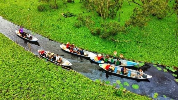 Post-merger agriculture in the Mekong Delta: Expanding raw material areas and planning ecological subregions