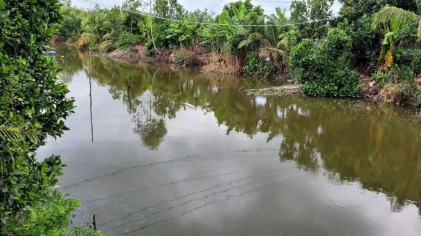 Sẽ xử phạt hành vi đổ vỏ trái cây gây ô nhiễm môi trường