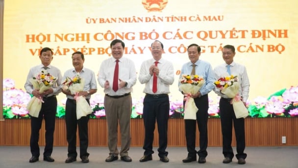 Cà Mau có gần 220 cán bộ nghỉ việc, nghỉ hưu trước tuổi