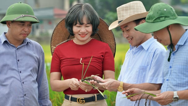 Những người thầm lặng vì bữa cơm 'không đường'