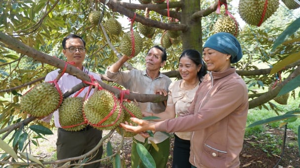 Tín dụng- 'chìa khóa’ giảm nghèo: [Bài 2] Tạo việc làm, ‘khơi thông’ nguồn lực