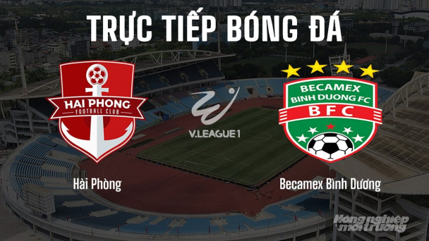 Trực tiếp Hải Phòng vs Bình Dương giải V-League 2024/25 trên FPTPlay, TV360 hôm nay 15/6/2025