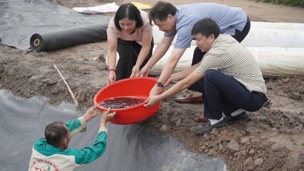Trung tâm Khuyến nông Quốc gia tặng giống mới cho nông dân Hải Dương