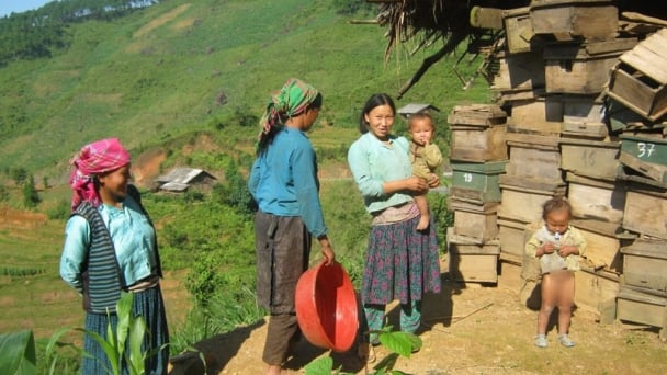 Mở cơ hội cho phụ nữ tham gia vào các ngành năng lượng, tái chế