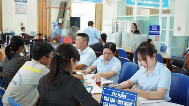 Thái Bình bắc nhịp cầu việc làm