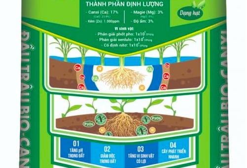 Thực trạng canxi đất lúa vùng ĐBSCL từ chương trình 'Canh tác lúa thông minh'