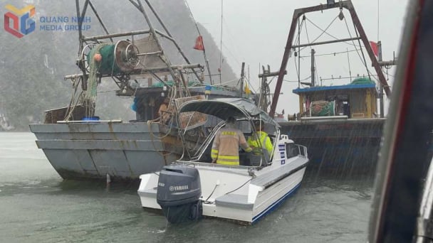 Vietnam responds to Typhoon Wipha with utmost urgency and determination