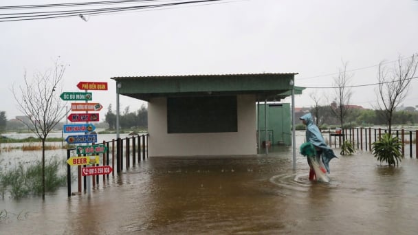Ninh Bình: Gần 65.500 ha lúa ngập trắng