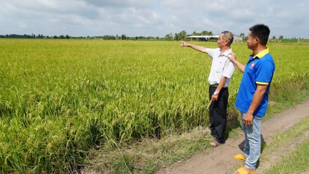 Thủy lợi vùng chân ruộng: [Bài 1] HTX thủy nông ‘gần dân, sát ruộng’