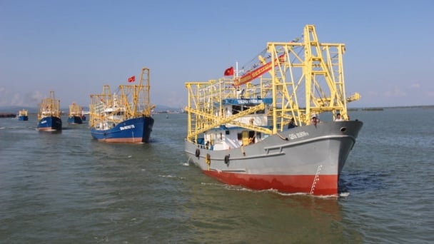 Da Nang has brought over 1,900 IUU fishing vessels under management