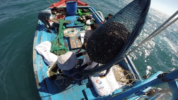 Golden sea, sustainable vision: [4] Safeguarding resources through knowledge