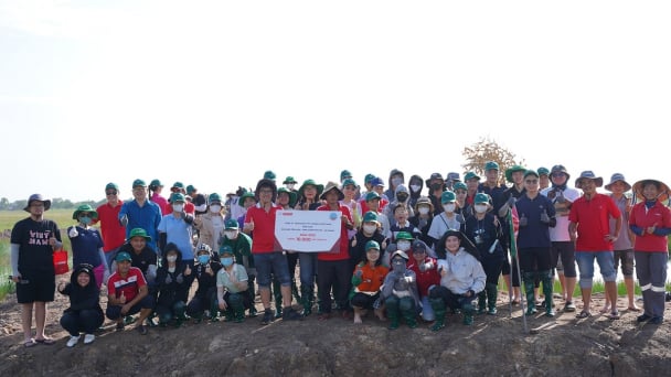 INSEE Vietnam sponsors planting of 10,000 melaleuca trees to restore Phu My habitat