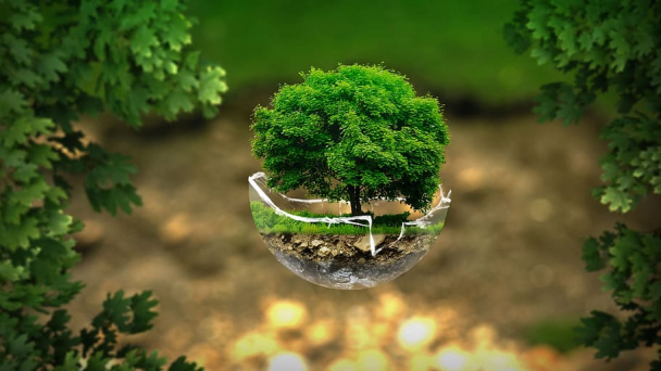 Đảm bảo quyền sống trong lành - Mục tiêu của chính sách bảo vệ môi trường
