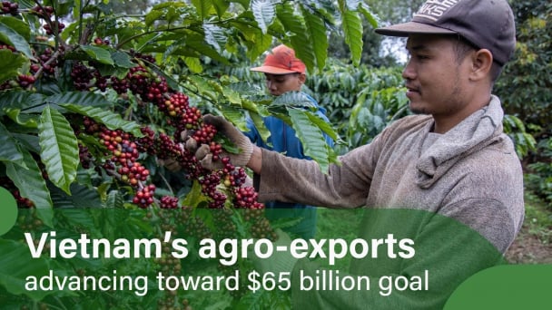 Coffee accelerates thanks to FTA advantages
